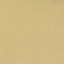 Gold Swatch